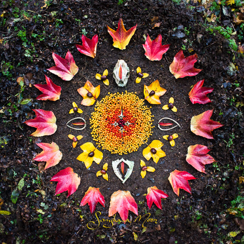 Menstrual mandala by Samjhana Moon